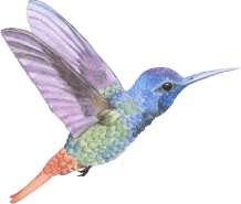 What Preschool owners have to say